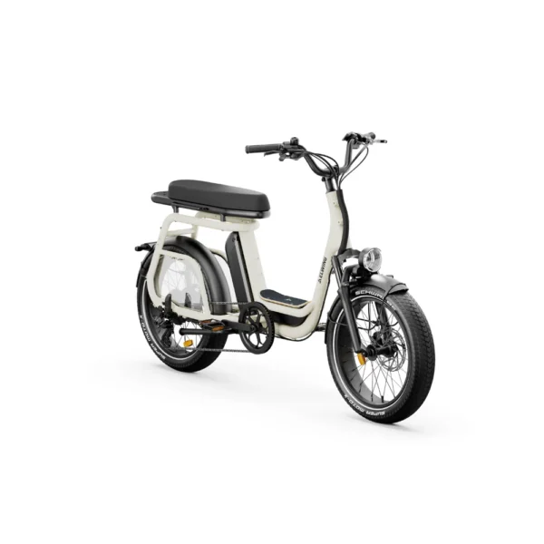Ritmic Duo - Cargo Biplace – Image 3
